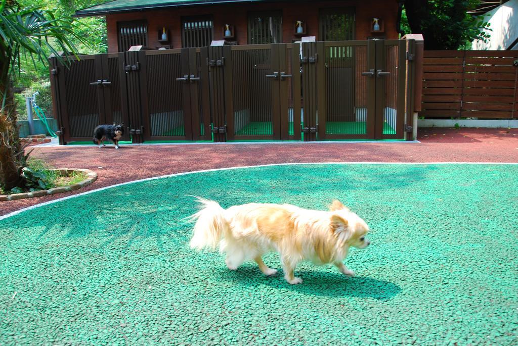 Okumizuma Onsen Hotel Kaizuka Екстериор снимка